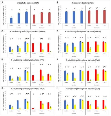 Mixed growth of Salix species can promote phosphate-solubilizing bacteria in the roots and rhizosphere